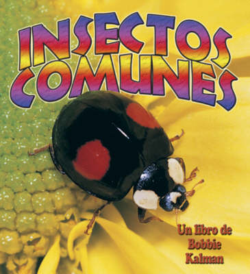 Insectos Comunes