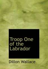 Troop One of the Labrador