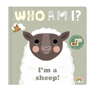 Who am I? Sheep