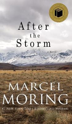After the Storm