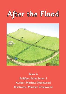 After the Flood