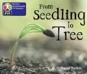 Primary Years Programme Level 2 From Seedling to tree 6Pack