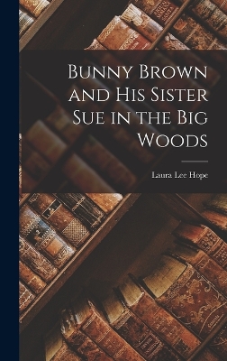 Bunny Brown and His Sister Sue in the Big Woods