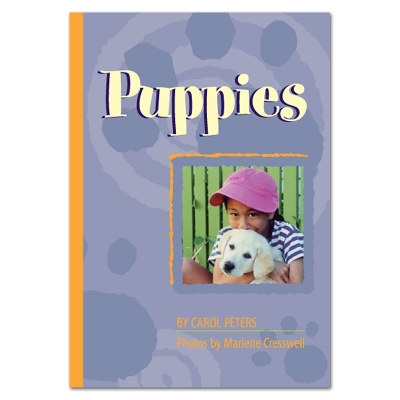 Puppies