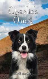 Charlie's Quest