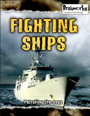 Brain Works Fighting Ships