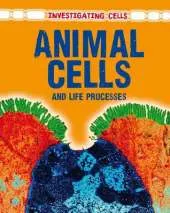 Investigating Cells: Pack A