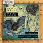 Cave