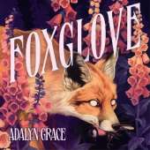 Foxglove: The thrilling and heart-pounding gothic fantasy romance sequel to Belladonna