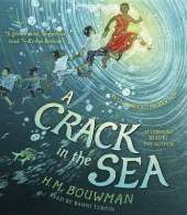 A Crack In The Sea