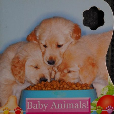 Baby Animals!