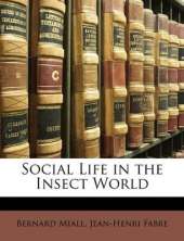 Social Life in the Insect World