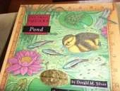 Pond