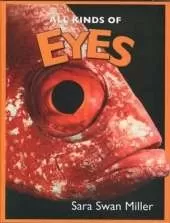 All Kinds of Eyes