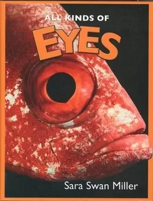 All Kinds of Eyes