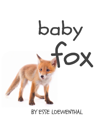 Baby Fox