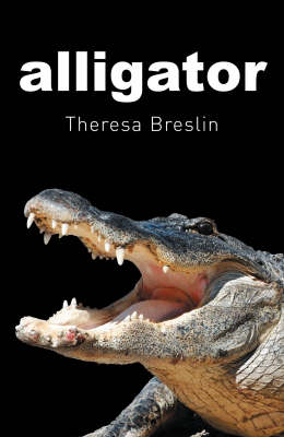 Alligator
