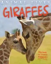 Animal Lives: Giraffes