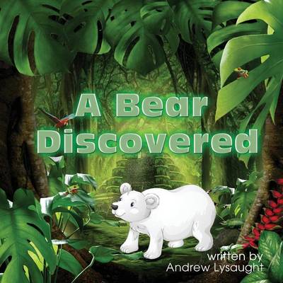 A Bear Discovered