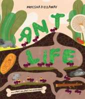 Ant Life