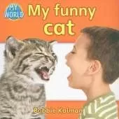 My funny cat