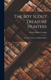 The Boy Scout Treasure Hunters: The Lost Treasure of Buffalo Hollow