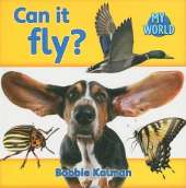Can it fly?