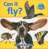 Can it fly?