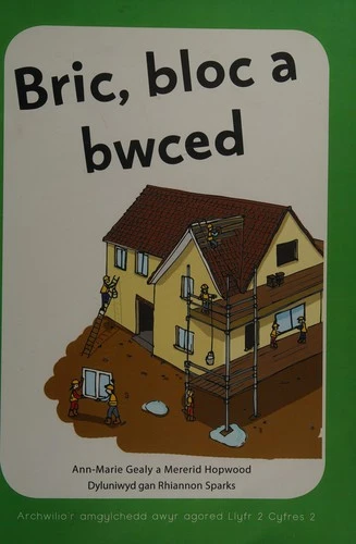 Bric, bloc a bwced: Archwilio'r amgylchedd awyr agored yn y Cyfnod Sylfaen