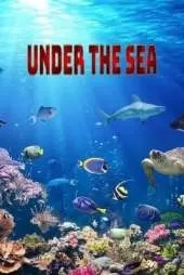 Under the sea: Some of our beautiful swimming friends.