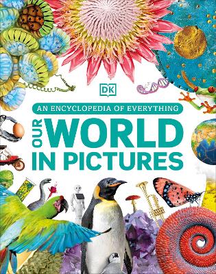 Our World in Pictures: A Visual Encyclopedia of Everything for Kids