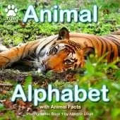 Animal Alphabet: Photographic Book 1 by Alastair Lloyd