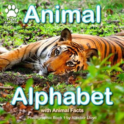 Animal Alphabet: Photographic Book 1 by Alastair Lloyd