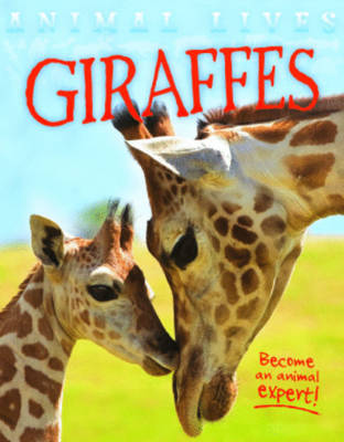 Animal Lives: Giraffes