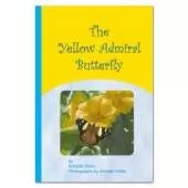 The Yellow Admiral Butterfly