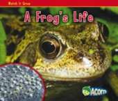 A Frog's Life