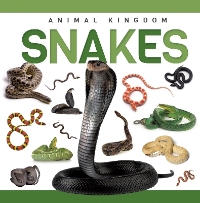 Snakes