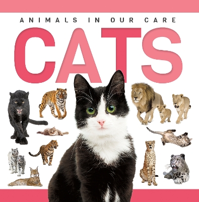 Cats