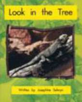 Springboard Lvl 5h: Look in the Tree