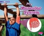 My Muscular System a 4D Book (My Body Systems)