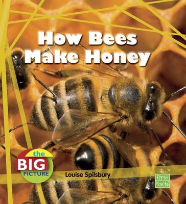 How Bees Make Honey