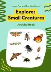 Minibeast Explorers: Learn Fun and Exciting Facts