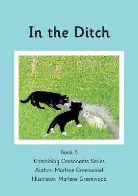 In the Ditch
