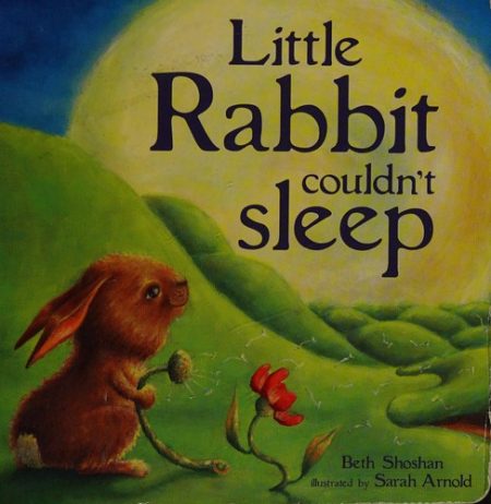 Little Rabbit Couldn't Sleep