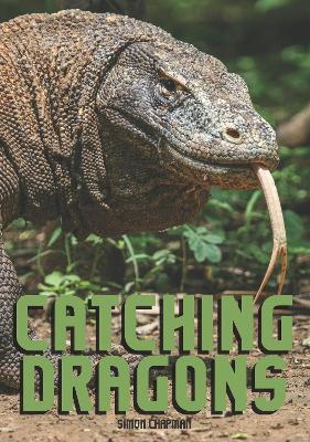 Catching Dragons