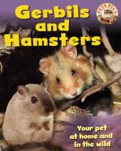 Pets Plus: Gerbils and Hamsters