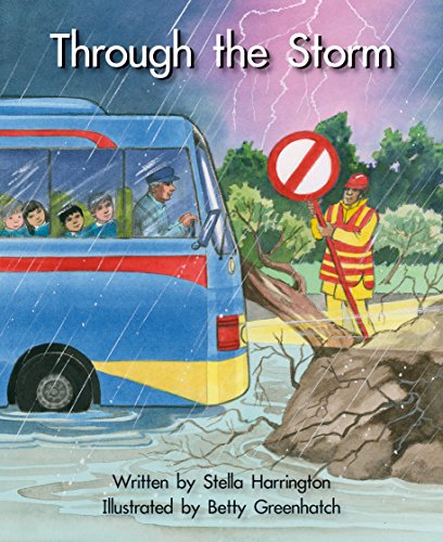 Through the Storm