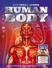 Human Body