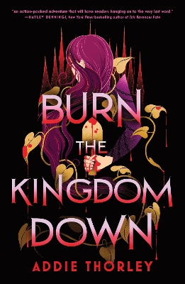 Burn the Kingdom Down: A Young Adult Enemies to Lovers Romantasy