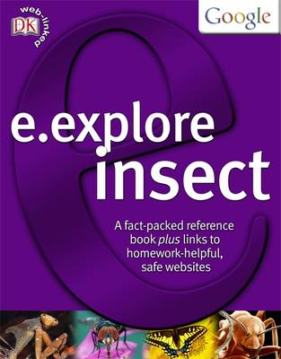 Insect
